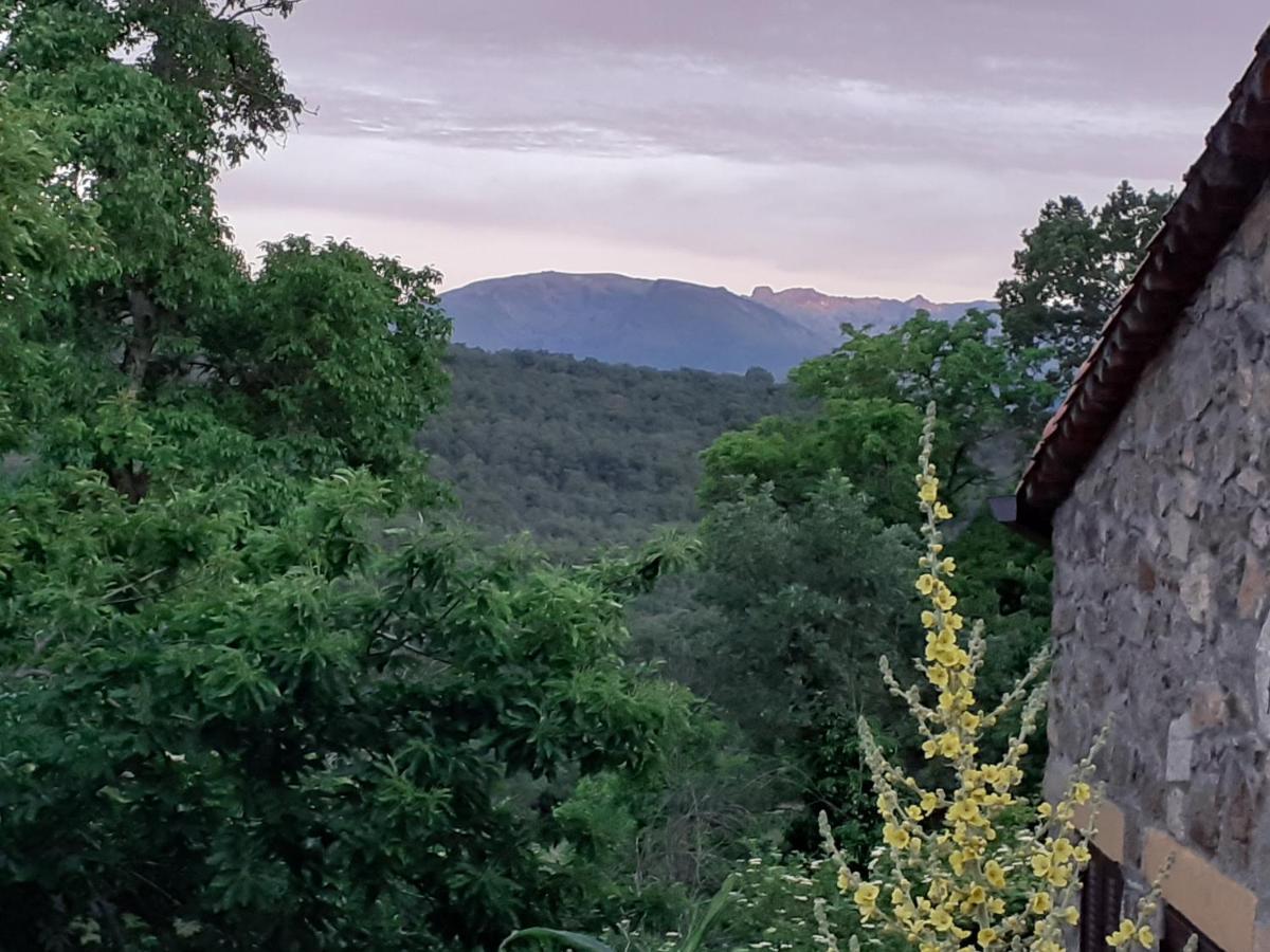 Los Castanos Solana de Avila Εξωτερικό φωτογραφία