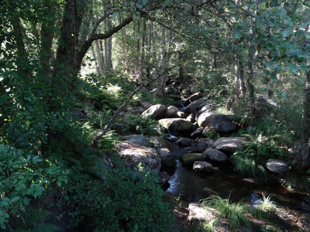 Los Castanos Solana de Avila Εξωτερικό φωτογραφία